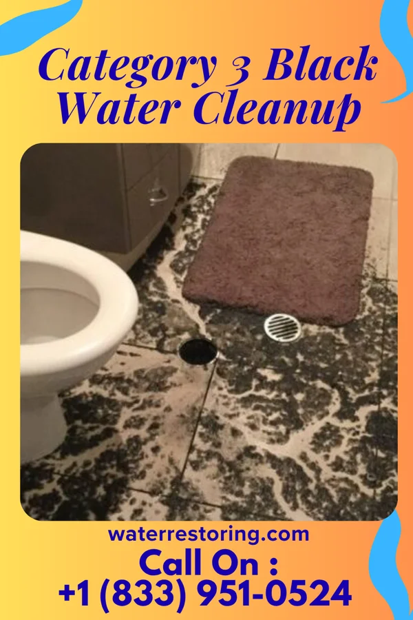 Category 3 Black Water Cleanup in Woodbury, MN