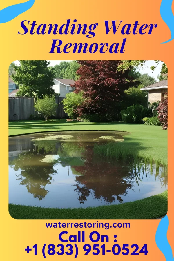 Standing Water Removal in Woodbury, MN